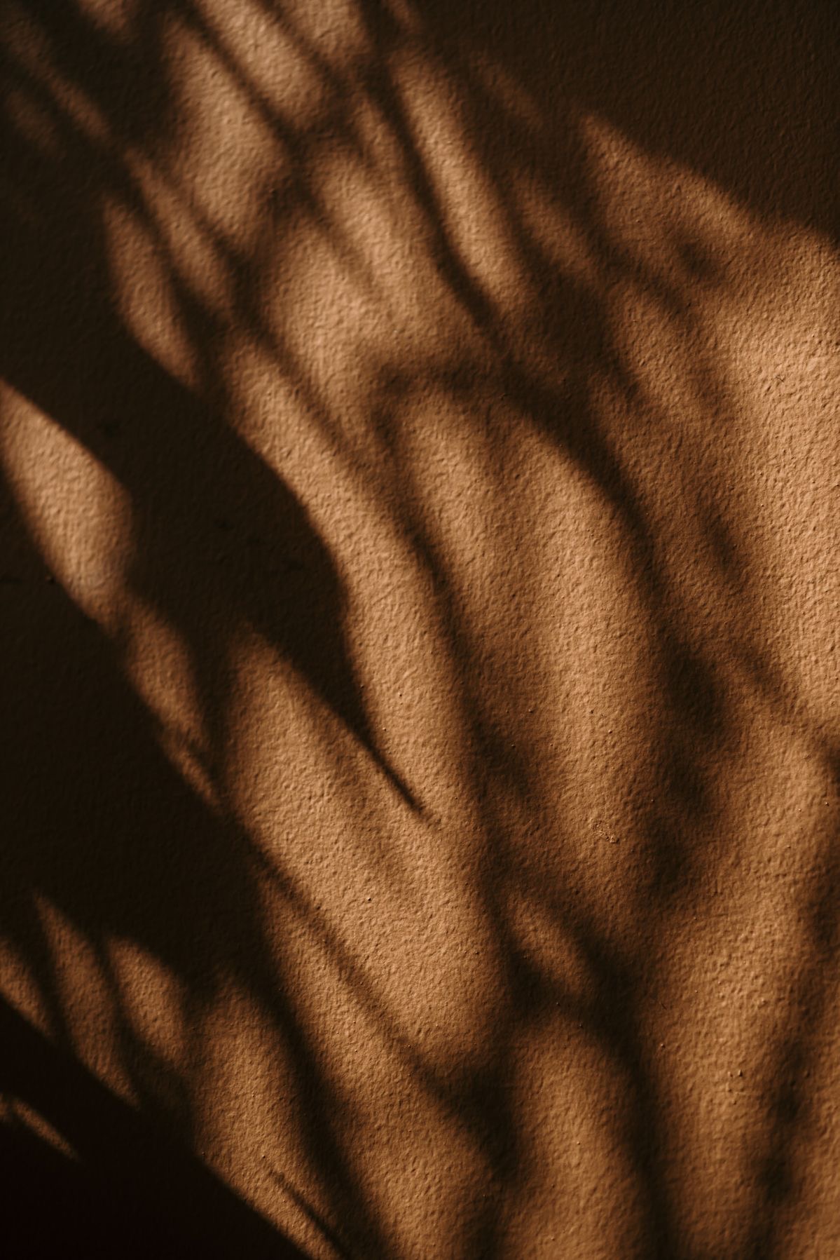 Anna Grigoryan - Yerevan, Armenia